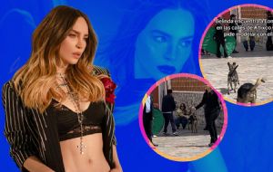 Belinda viraliza tierno gesto con perritos de la calle al comprarles comida en Atlixco, ¡y se enamoran de ella! | VIDEO