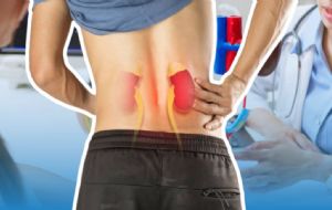 Enfermedades Renales en México: un desafío de Salud Pública