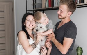 Arrendadores ya no podrán negar la renta de inmuebles a personas con niños o mascotas en la CDMX