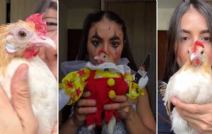 Chica viste a su pollo de payaso terrorífico y se hacen virales como el mejor disfraz de pareja | VIDEO