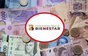 El programa del Bienestar que casi nadie ubica y paga hasta 24 mil pesos