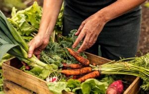 Escasez en la Central de Abastos de Tepic: ¿qué productos de la canasta básica no se encuentran?