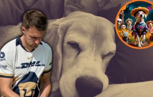 Esposa de Aaron Ramsey despide a su perrita Halo con triste ofrenda virtual: "Si has muerto, esperamos que sepas que te amamos